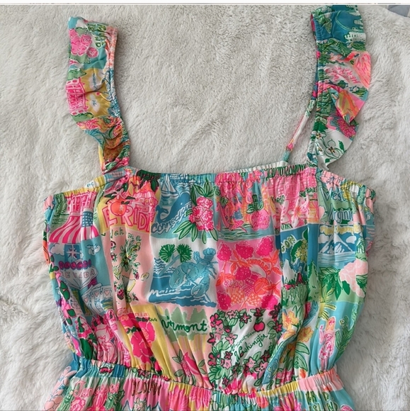 Lily Pulitzer Crista Midi State Of Mind Dress - Picture 4 of 12